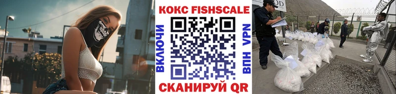 Cocaine FishScale  что такое   Юрьевец 