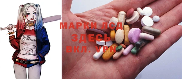 трава Ельня