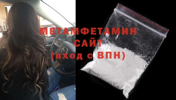 трава Ельня