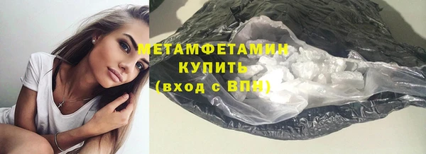 трава Ельня