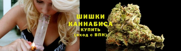 трава Ельня
