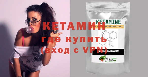 трава Ельня