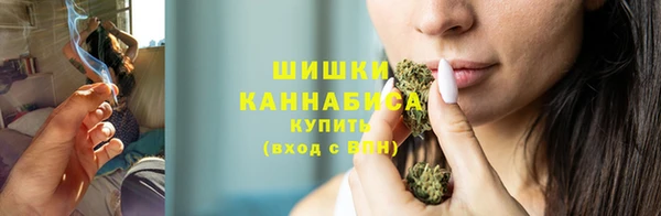 трава Ельня