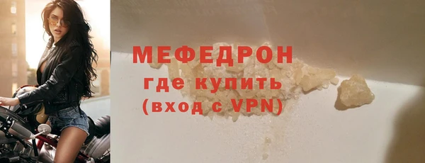 трава Ельня