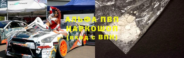прущие крисы Елизово