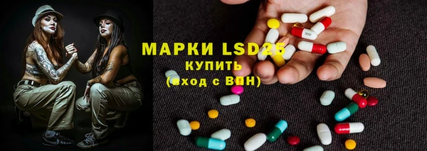 трава Ельня