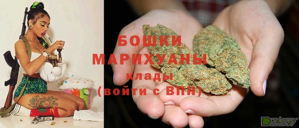 трава Ельня